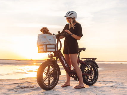 Explore More with Your Furry Friend: E-Bikes for Pet Travel