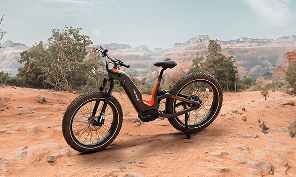 Hero carbon fiber ebike for mountain riding