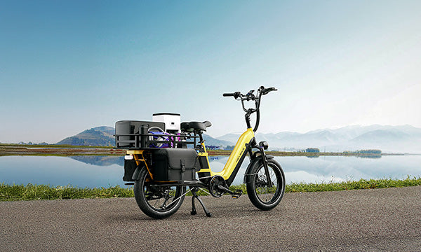 Top 10 Reasons to Choose a Family Cargo Ebike