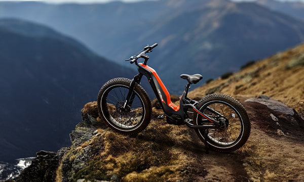 Heybike Hero carbon fiber ebike with 1000 watt hub motor ebike