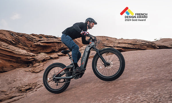 Hero Triumphs: Winning French Design Award - 2024 gold award