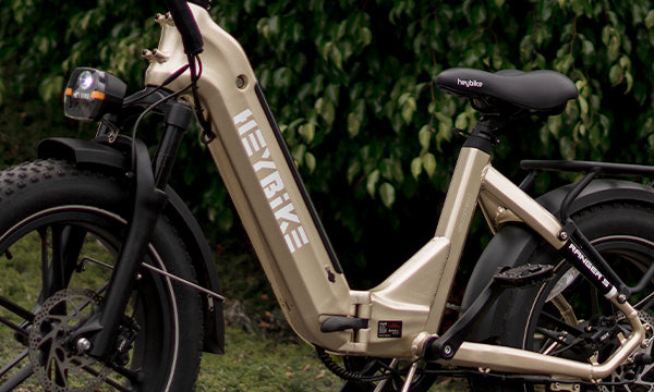 5 Best 750-Watt Electric Bikes