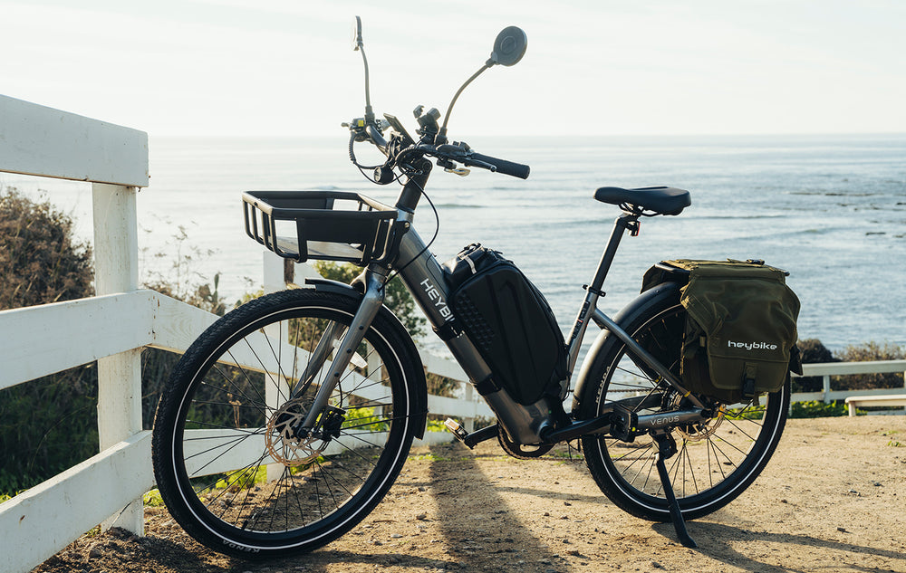 24_119a69c8-d04d-45e5-8833-1fcd1b478706