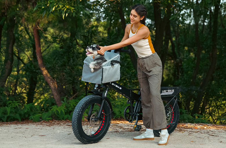 Pet Bike Basket