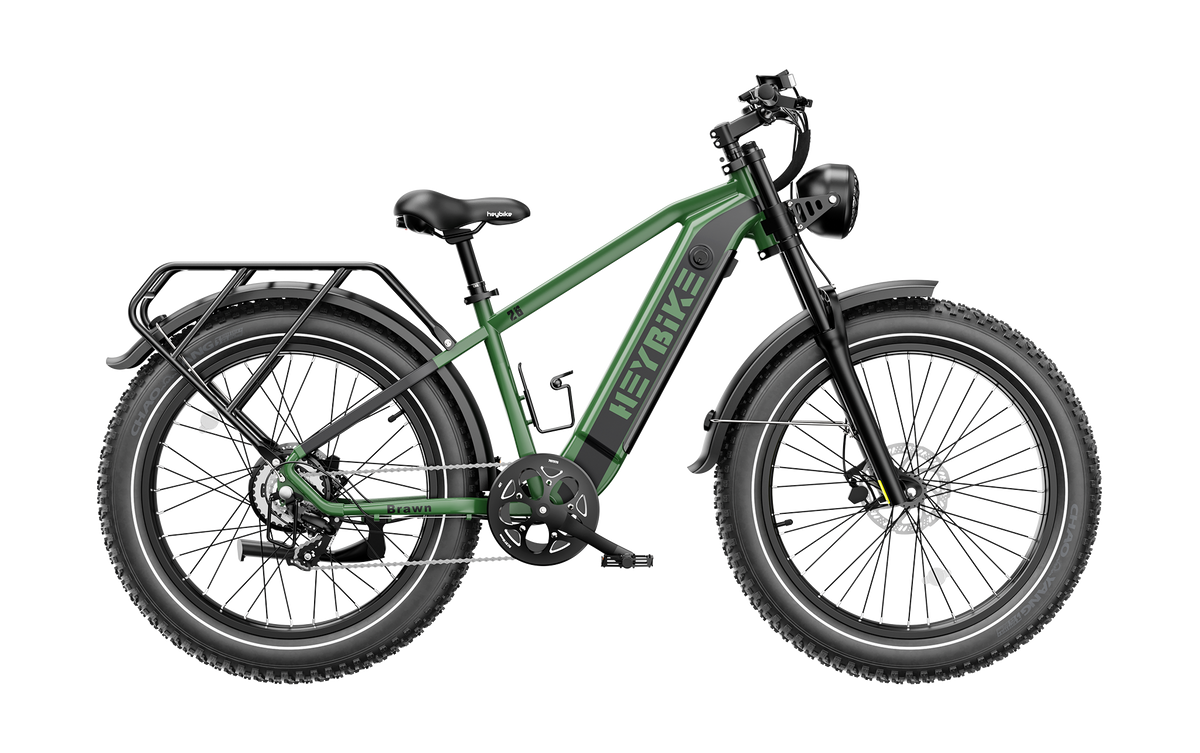 Heybike Brawn long-range electric bike