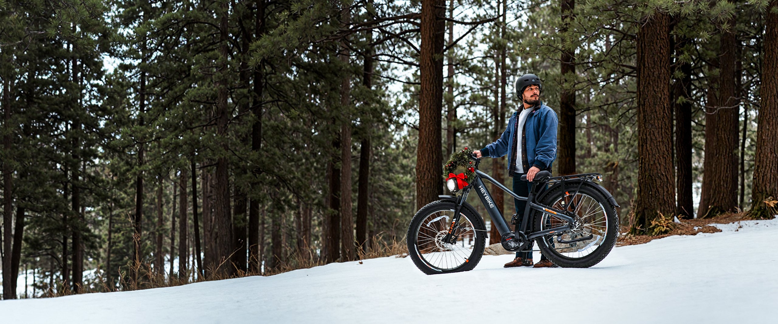 Christmas_eBike_Sale_HP_Mid_Drive_eBike_Deal_Best_Mid_Drive_Electric_Bike_for_Sale_pc