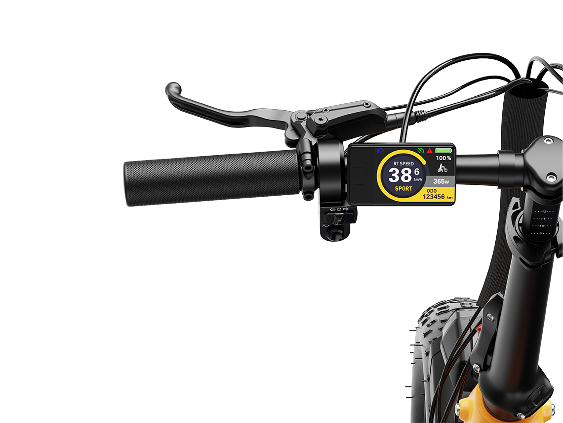 Ranger 3.0 Pro Limited Miami Sunset