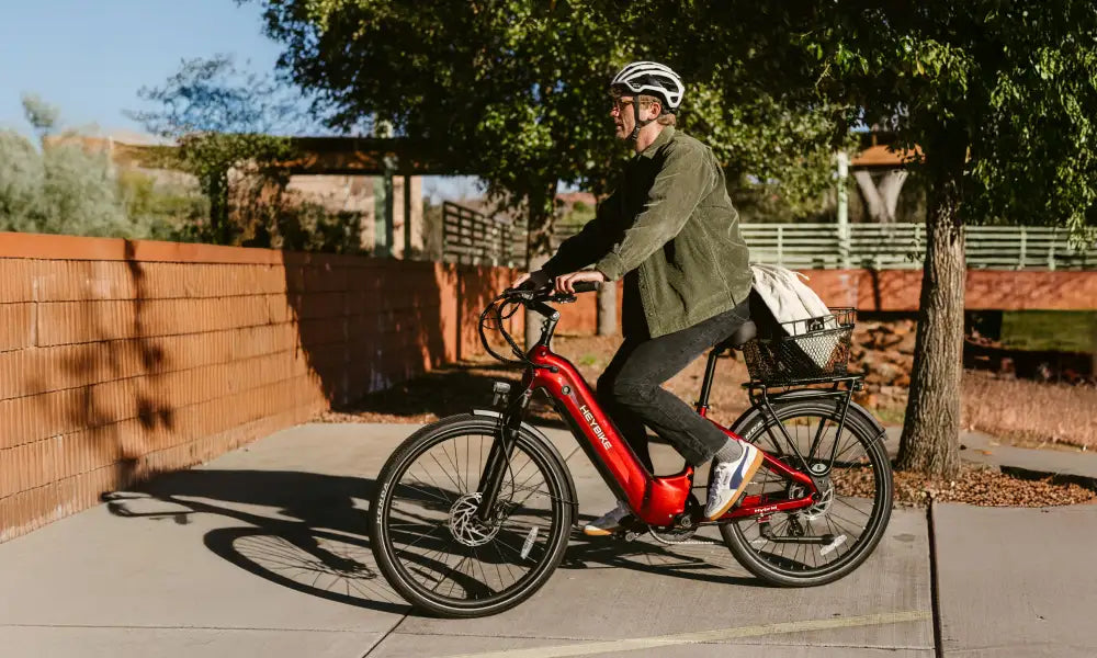 Hybrid Electric Bike