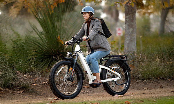Master Every Ride: The Heybike ALPHA for Every Skill Level
