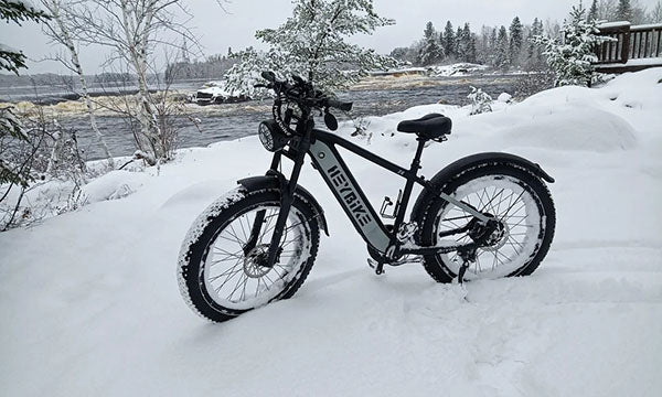 Brawn big tire e-bike on the snow