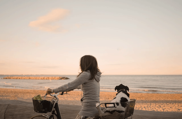 How to Bike Riding with Your Dog Safely? | Heybike