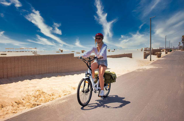 Electrical Bike Speed 101