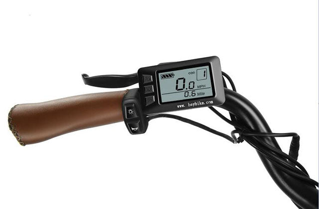 About Electric Bike LCD display