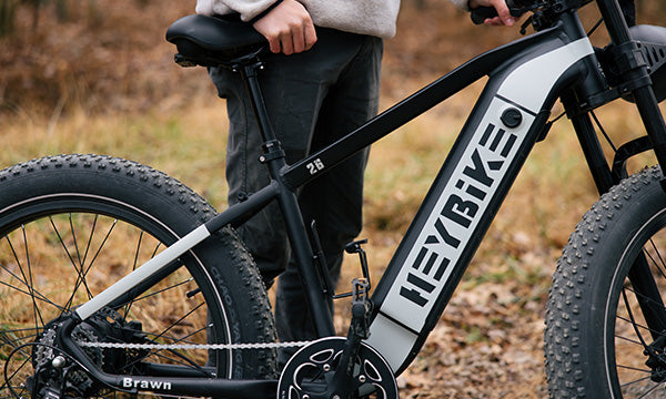 How Long Do Electric Bikes Last?