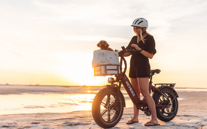 Ranger S ebike on the beach