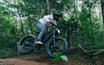 Brawn ebike for off-road adventure