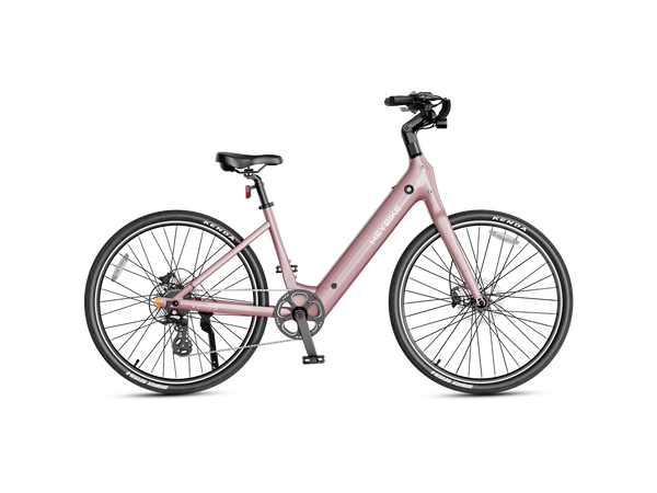 electric bicycle hero Hero Carbon Fiber EMTB | Mid-Drive Ebike