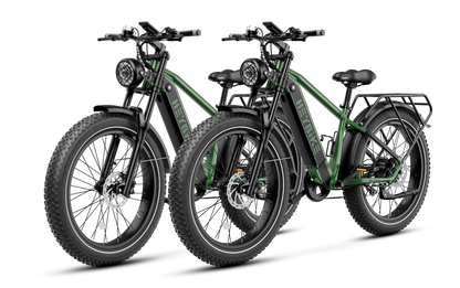 Brawn ebike combo sale
