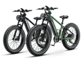 A bundle promotion to buy two Brawn e-bikes from Heybike