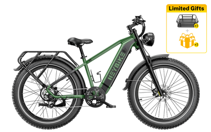 Brawn Long range Ebike Fat Tire Electric Bike Heybike