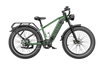 Heybike Brawn long-range electric bike