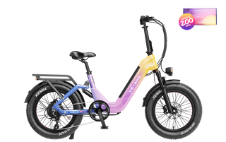 Ranger 3.0 Pro Limited Miami Sunset