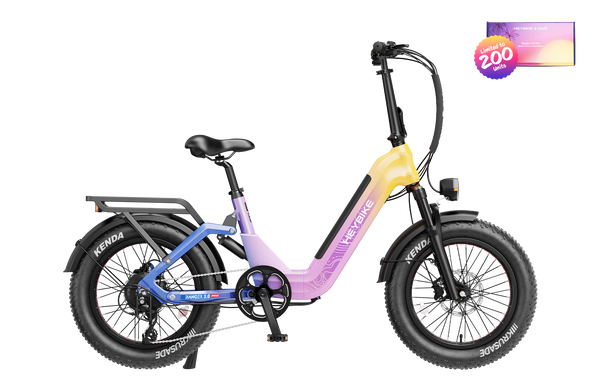 Ranger 3.0 Pro Limited Miami Sunset