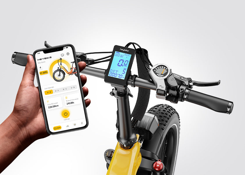 LCD Display / App Sync