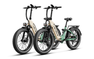 Horizon ebikes combo sale