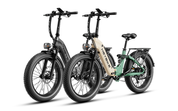 Horizon ebikes combo sale