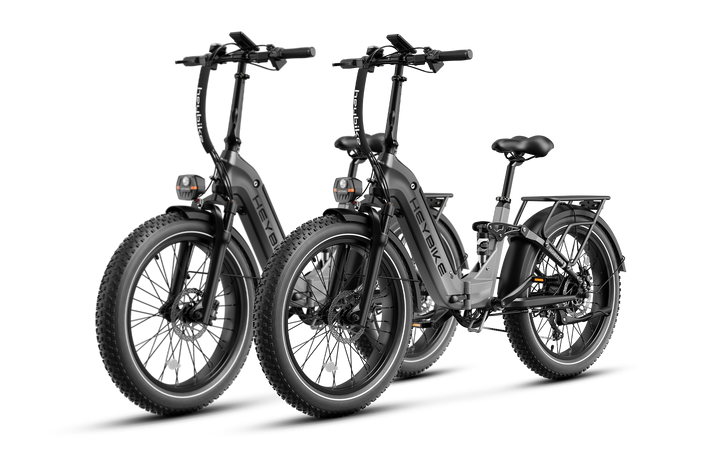 Horizon ebikes combo sale