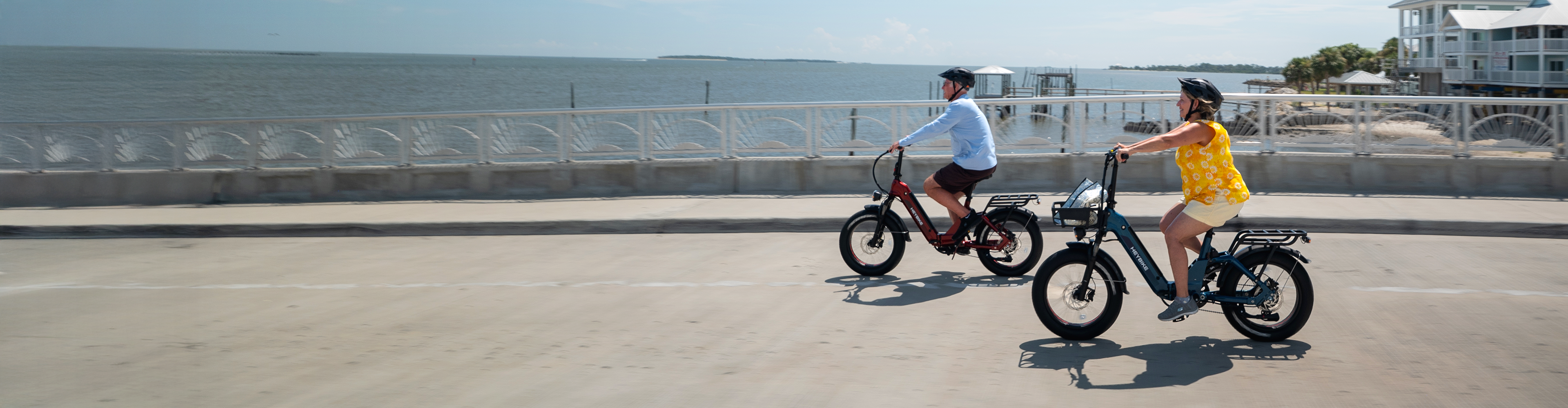 Labor Day eBike Sale