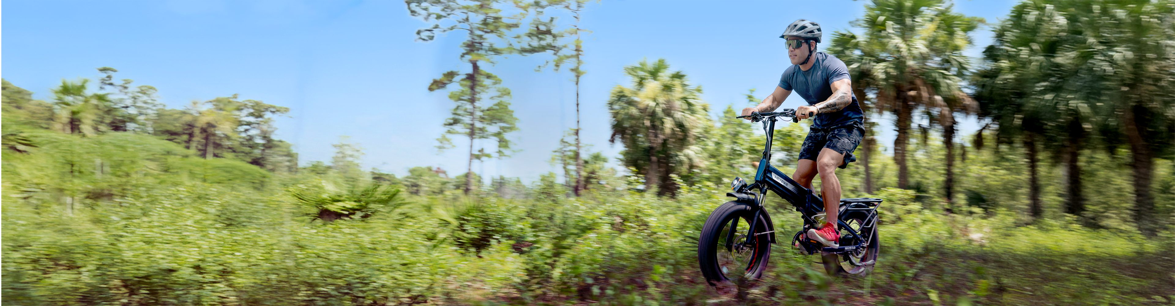 Off-Road Ebikes