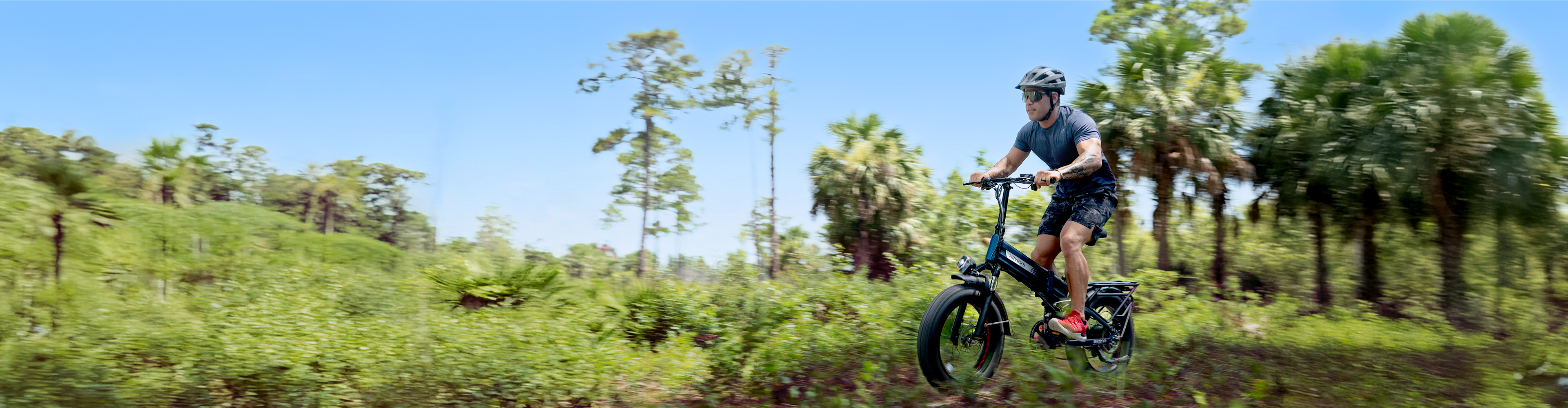 Off-Road Ebikes