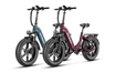 Ranger S ebikes 750 watt version - combo sale