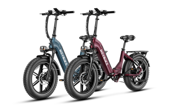 Ranger S ebikes 750 watt version - combo sale