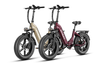 Ranger S ebikes 750 watt version - combo sale