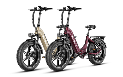 Ranger S ebikes 750 watt version - combo sale