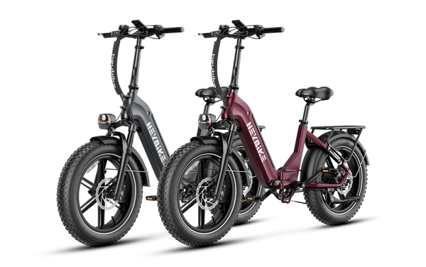 Ranger S ebikes 750 watt version - combo sale
