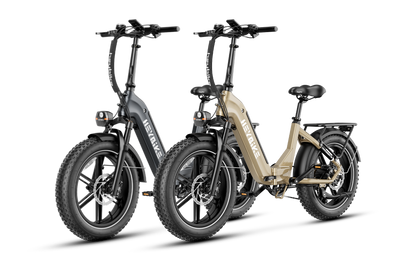 Ranger S ebikes 750 watt version - combo sale