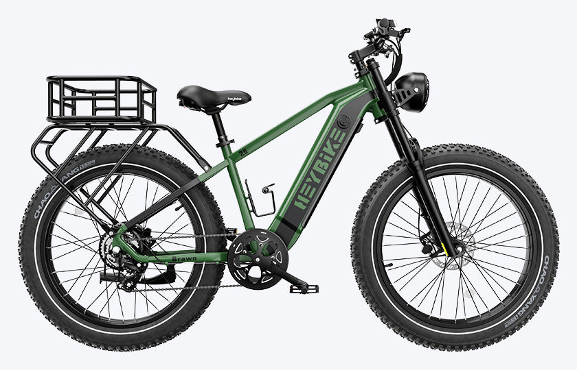 Bicicletas eléctricas – GoGreen Cycles