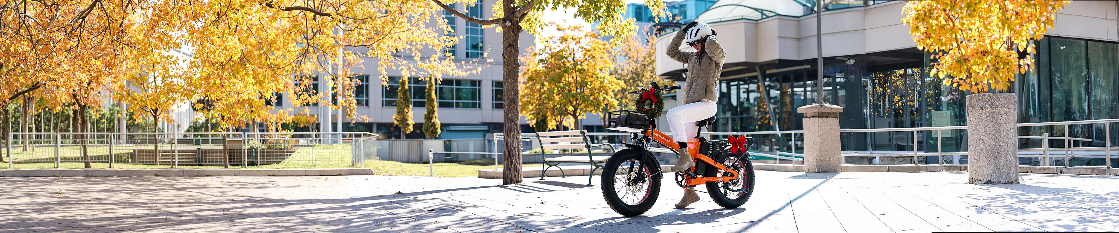 Holiday eBike Sale